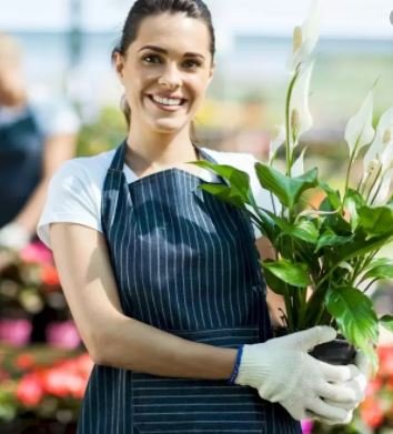 Start Up Business Loans NZ